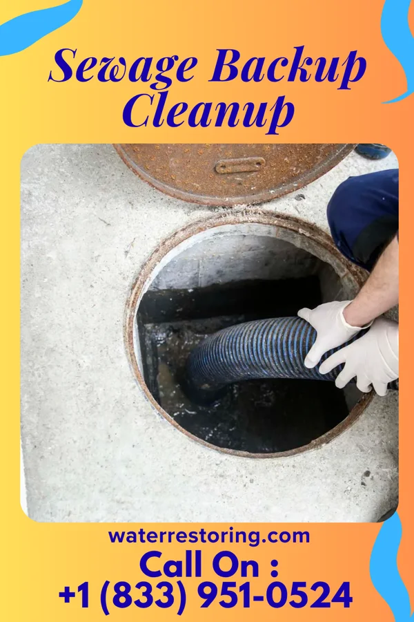 Sewage Backup Cleanup in Des Peres, MO