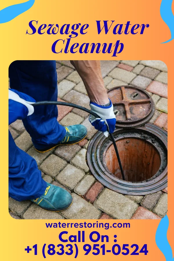 Sewage Water Cleanup in Des Peres, MO