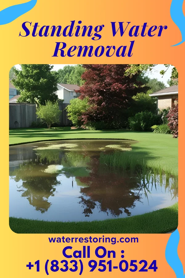 Standing Water Removal in Des Peres, MO